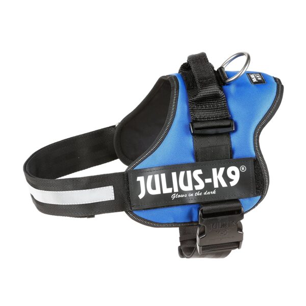 blueharness